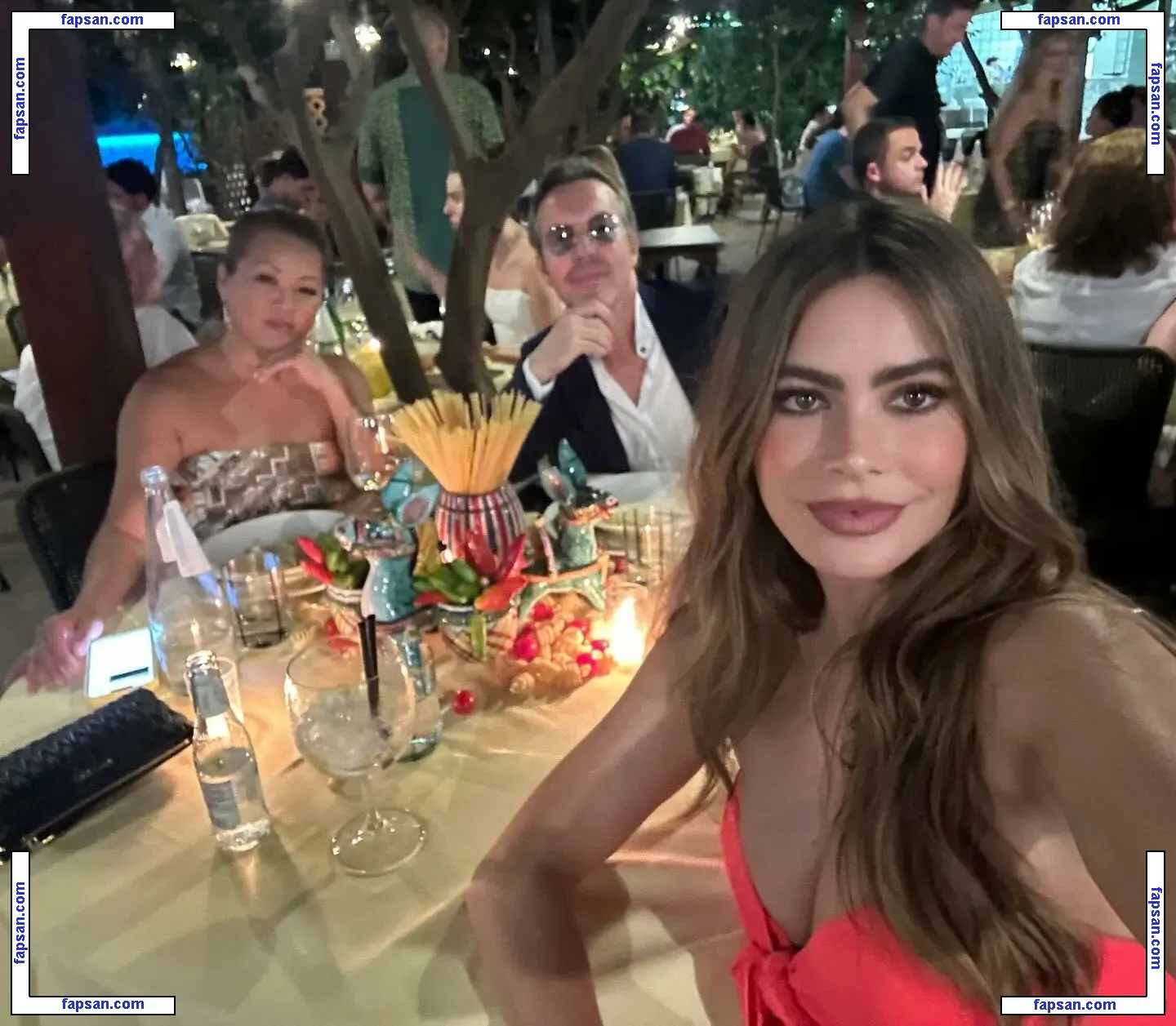 Sofía Vergara nude photo #3359 from OnlyFans
