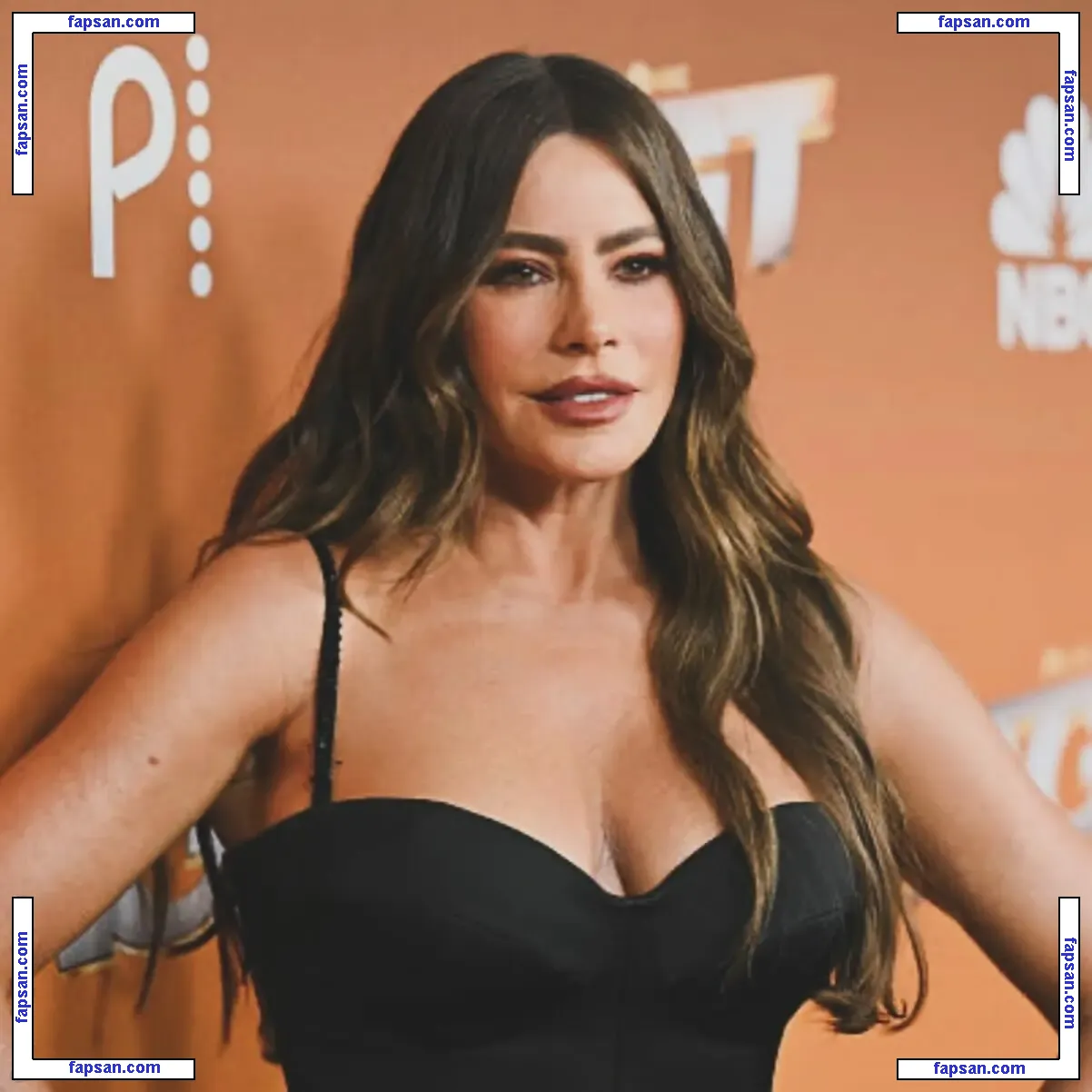 Sofía Vergara nude photo #3367 from OnlyFans