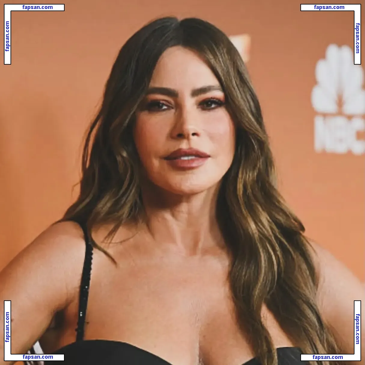 Sofía Vergara nude photo #3371 from OnlyFans