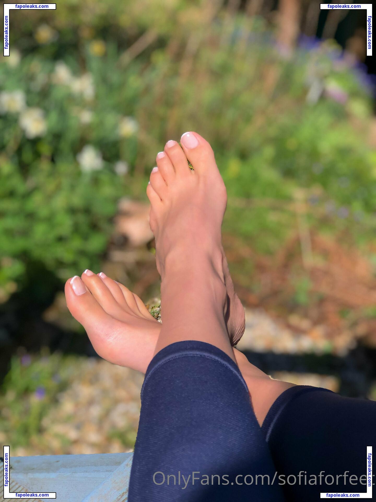 sofiaforfeet nude photo #0024 from OnlyFans