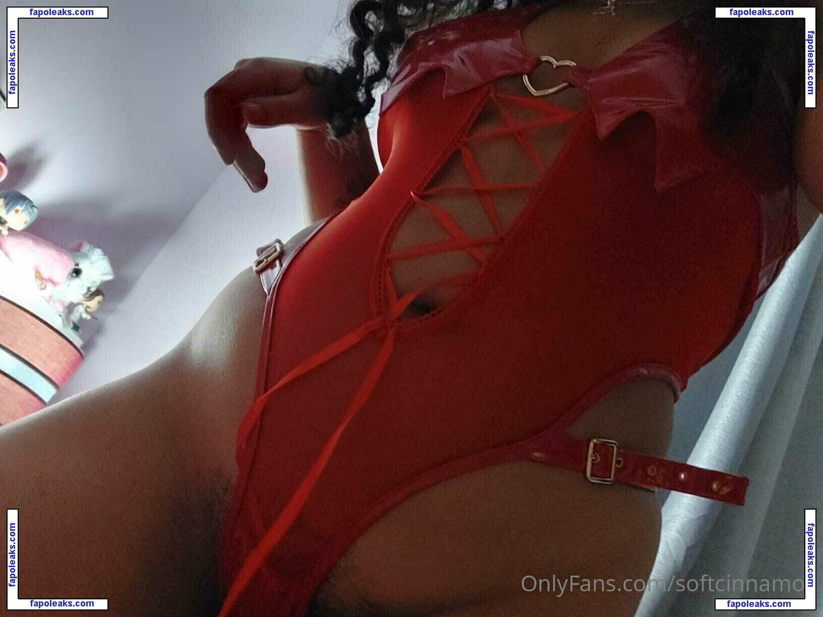 softcinnamon / reel nude photo #0006 from OnlyFans