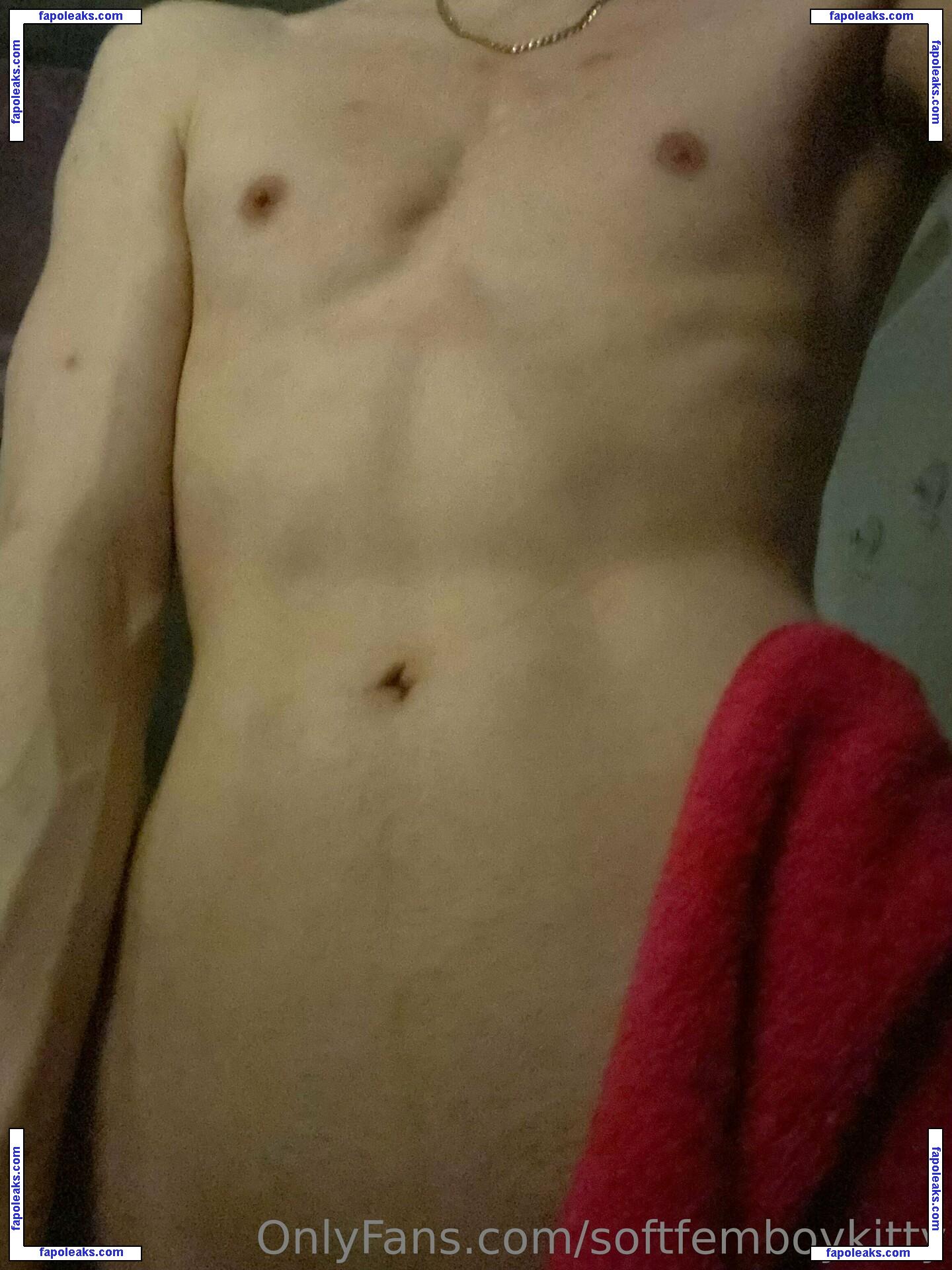 softfemboykitty / myfriendsmademebuyit nude photo #0033 from OnlyFans