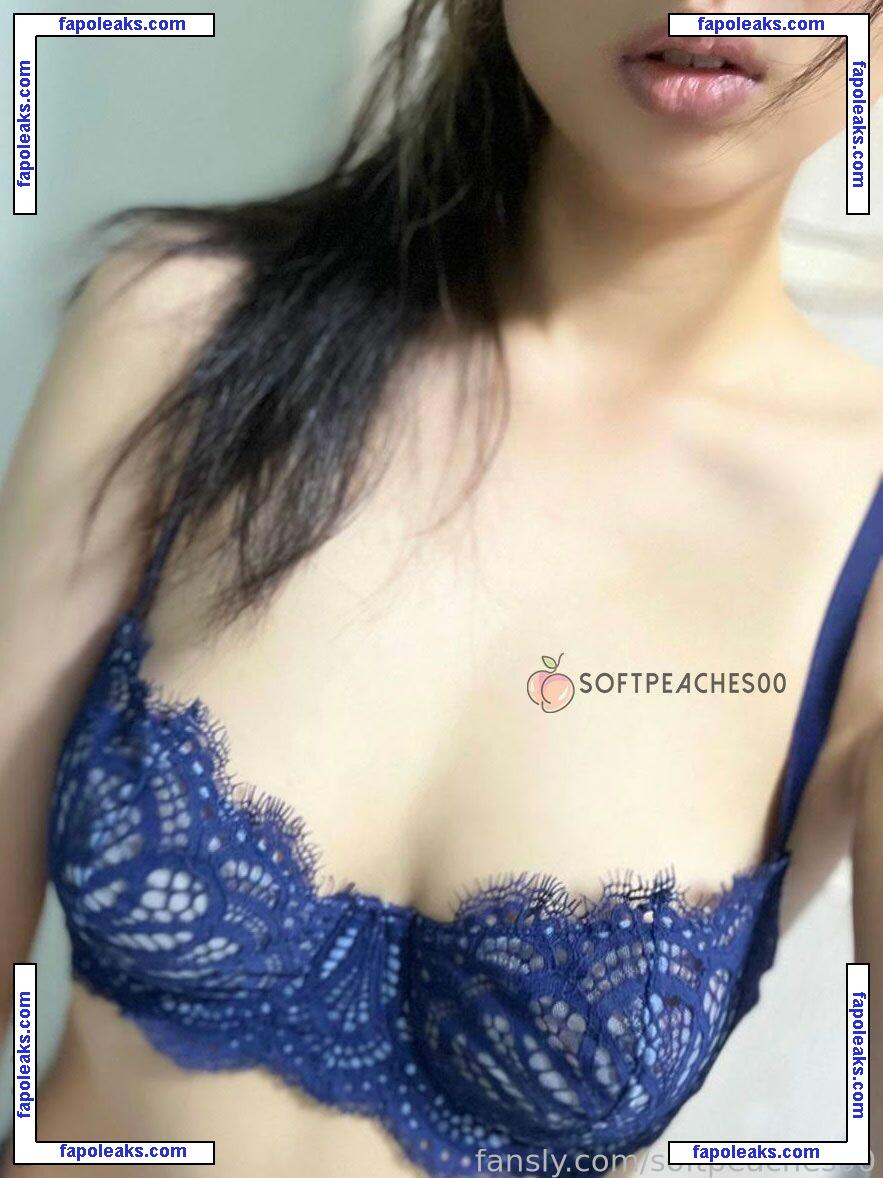 softpeaches00 / naughtypeachy00 nude photo #0024 from OnlyFans