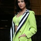 Sonal Chauhan nude #0034