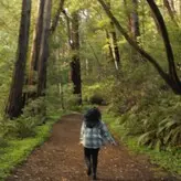 Sophia Phan nude #0020