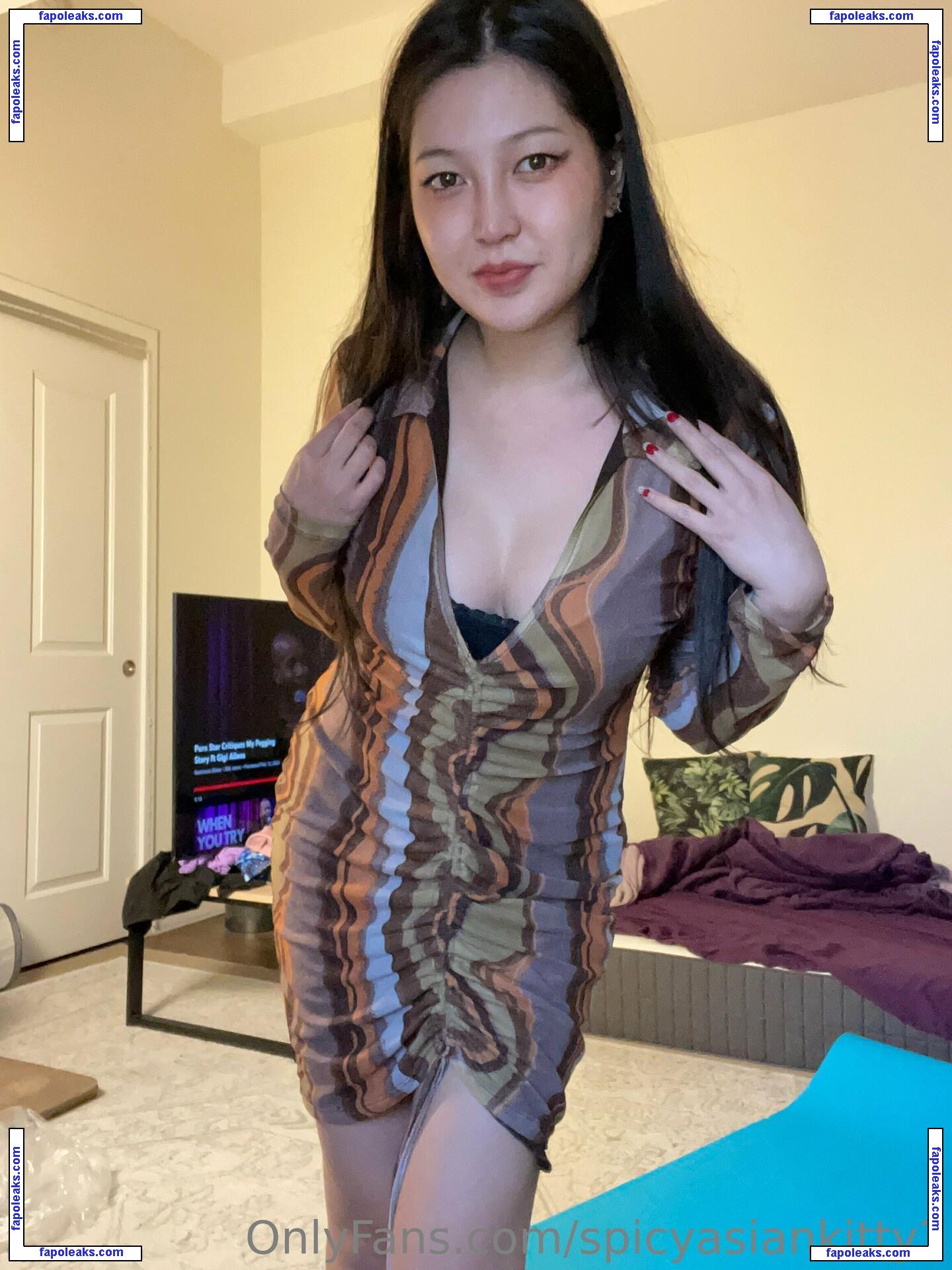 spicyasiankitty2 / spicyasiankittyxo nude photo #0022 from OnlyFans