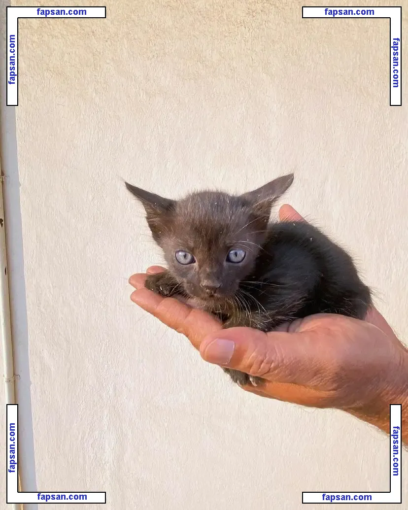 Srushti Bannatti голая фото #0016 с Онлифанс