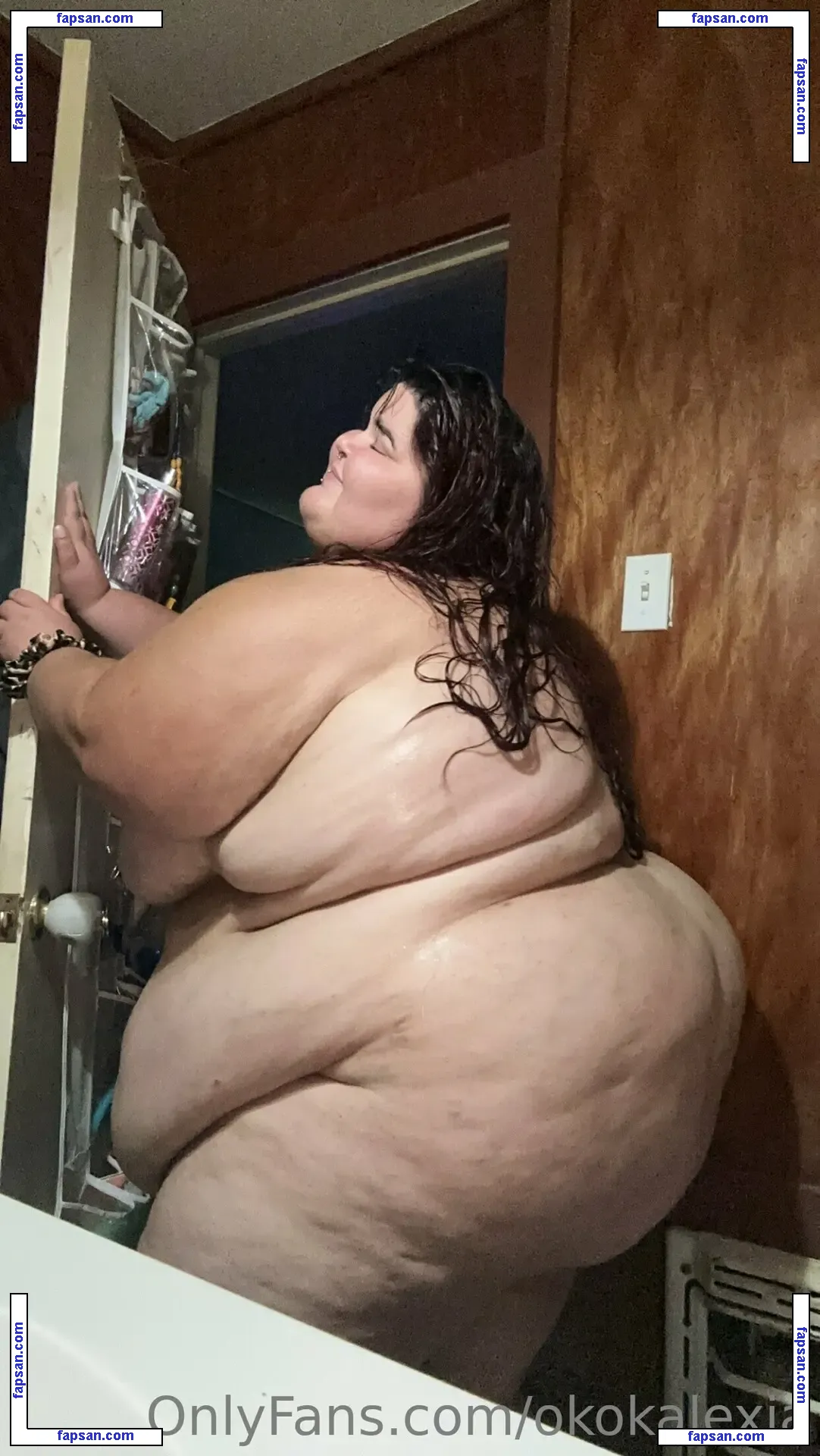 ssbbwalexia nude photo #0015 from OnlyFans