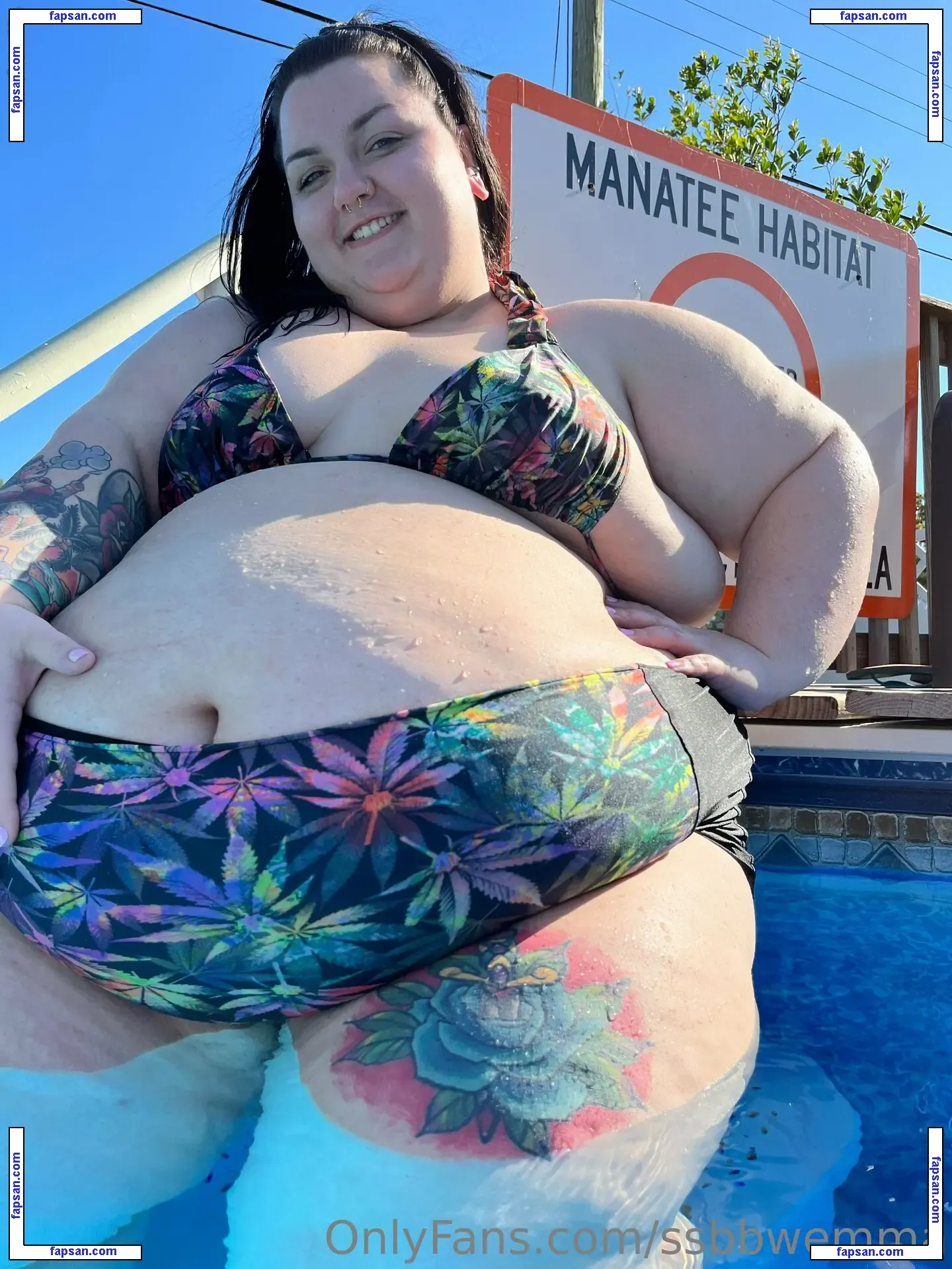 ssbbwemma nude photo #0104 from OnlyFans