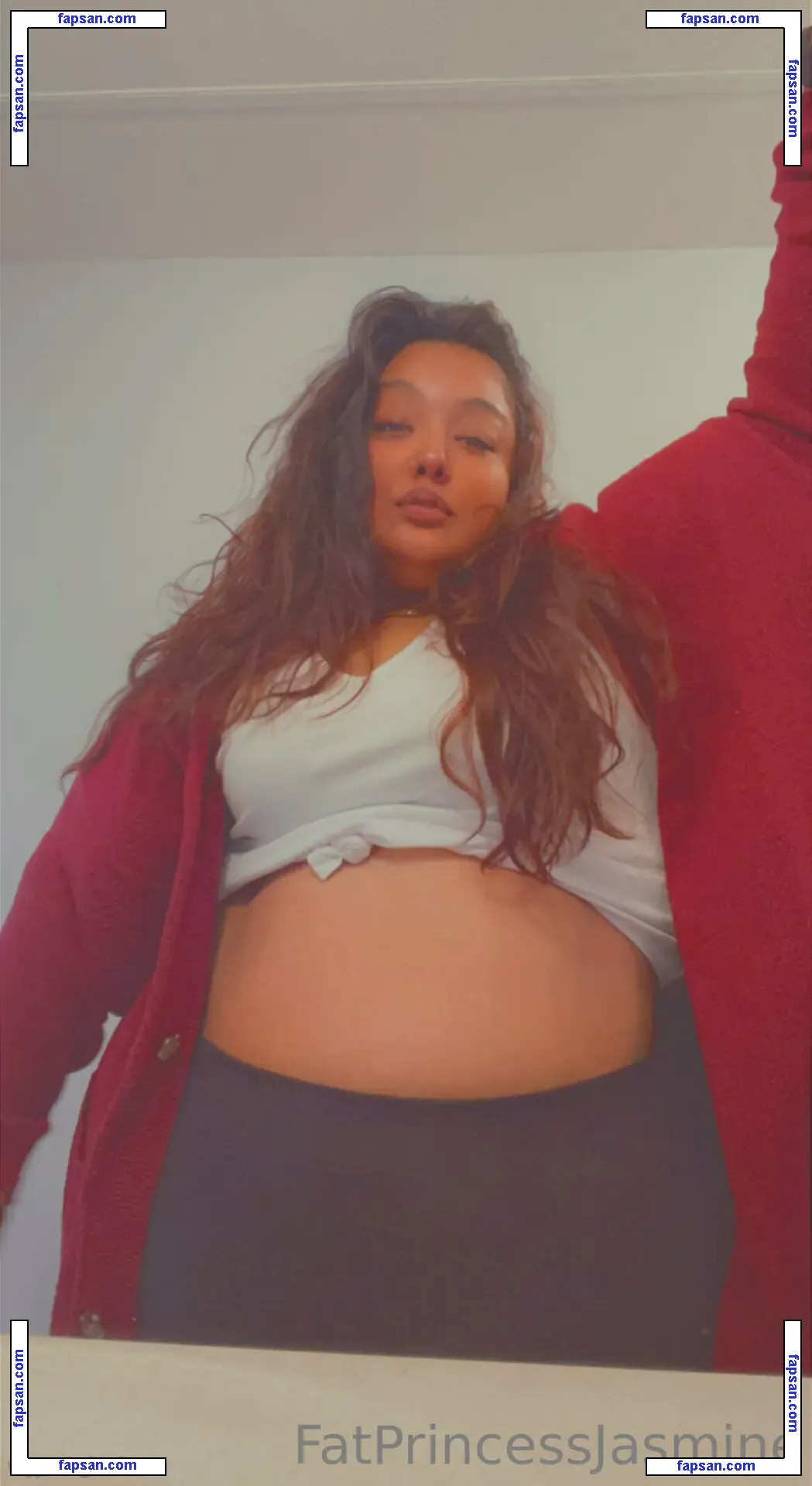 ssbbwprincessjasmine nude photo #0025 from OnlyFans