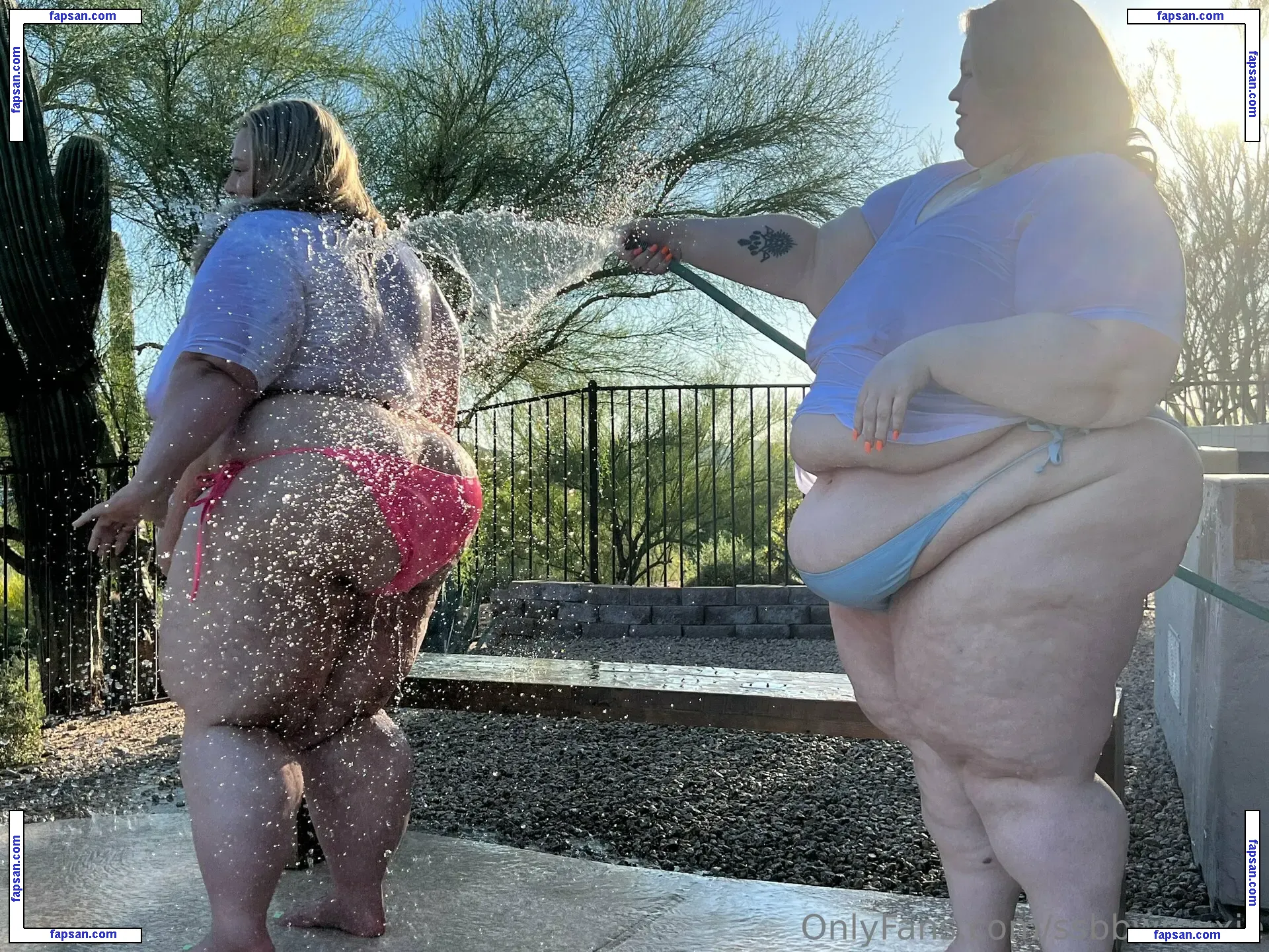 ssbbwroxxie nude photo #0062 from OnlyFans