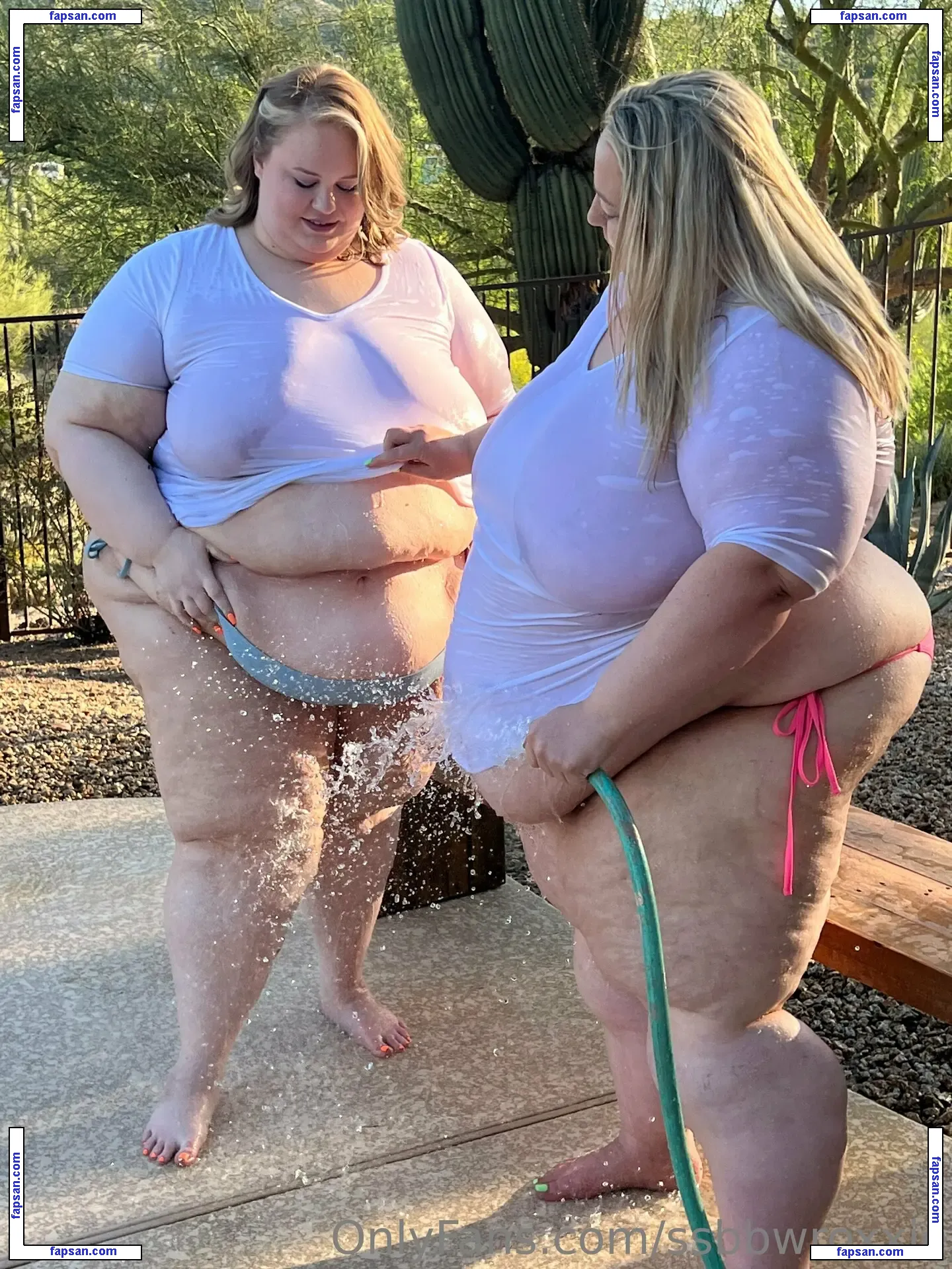 ssbbwroxxie nude photo #0071 from OnlyFans