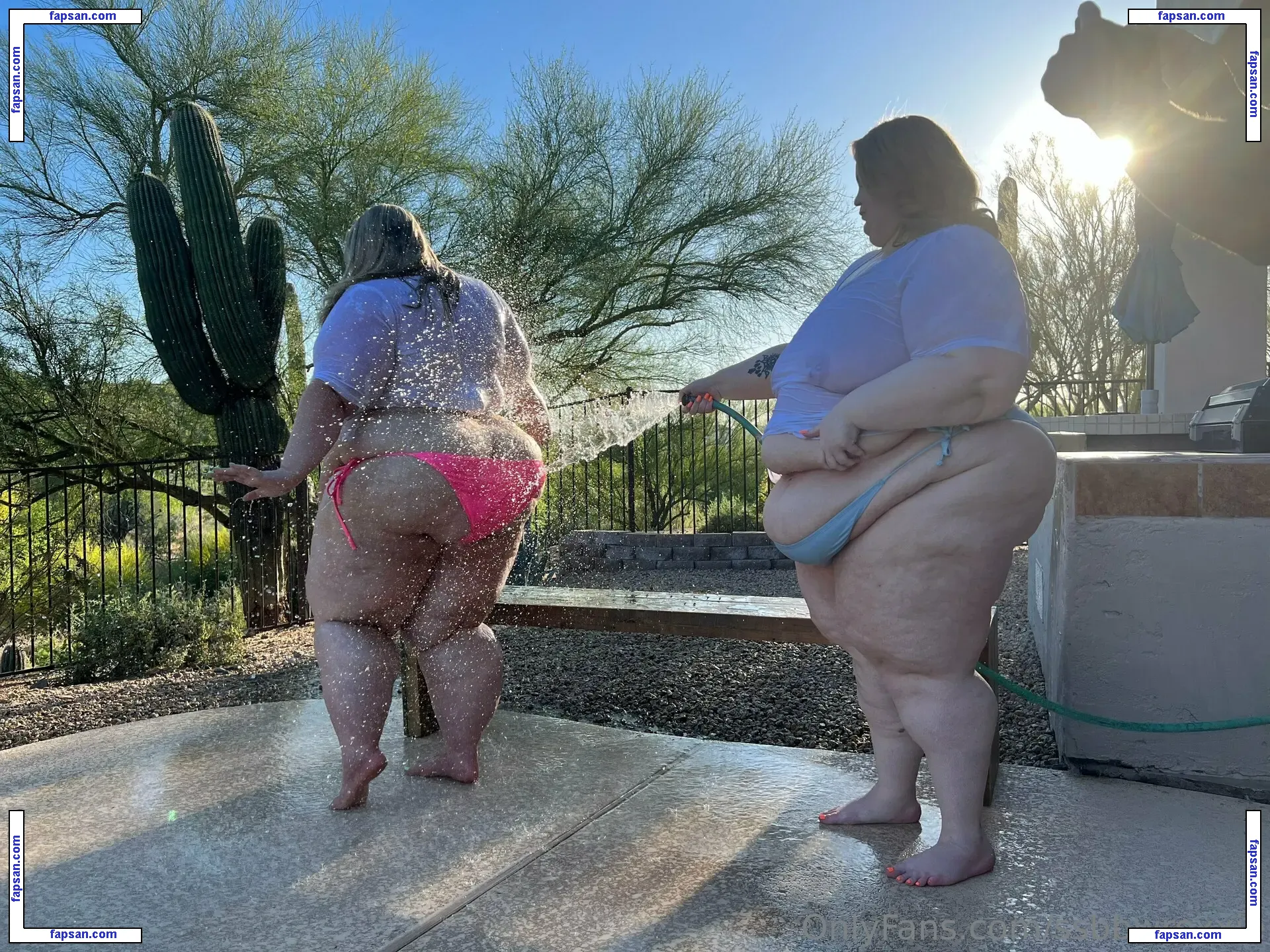 ssbbwroxxie nude photo #0080 from OnlyFans