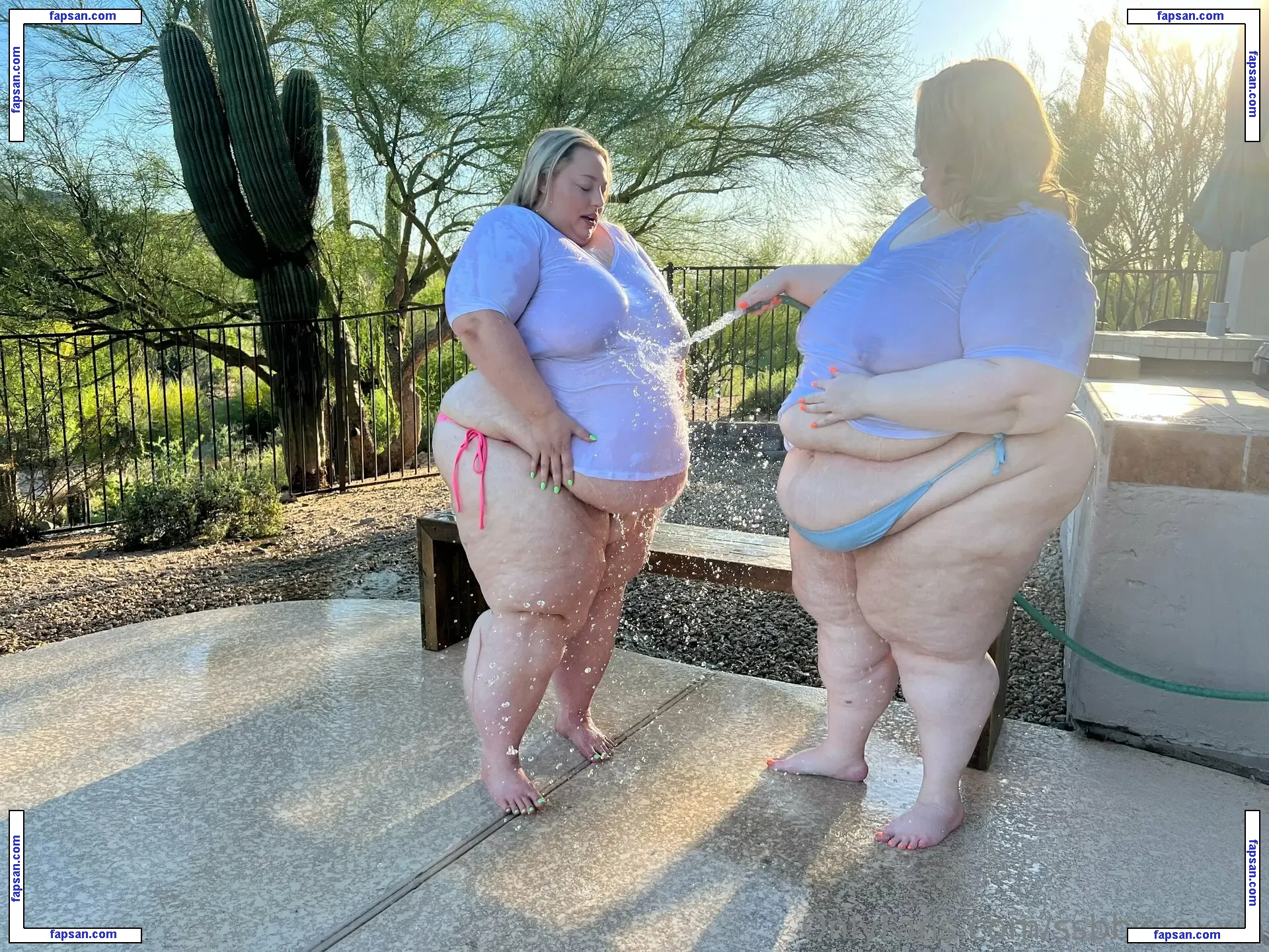 ssbbwroxxie nude photo #0082 from OnlyFans