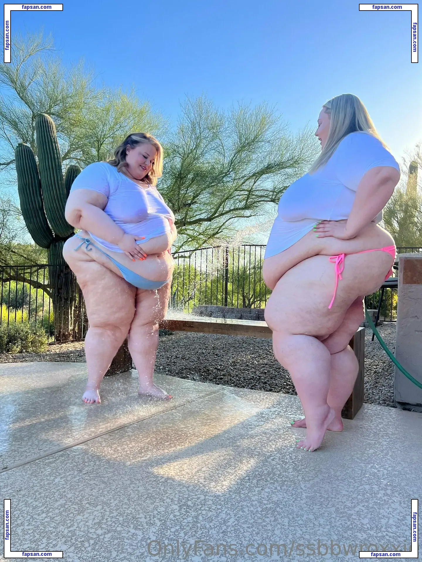 ssbbwroxxie nude photo #0090 from OnlyFans