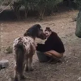 Stefanie Giesinger nude #0439