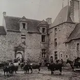 Stefyalcaras Patreon leaks