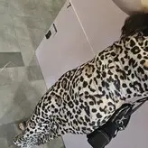 Stephanie Sorensen голая #0016