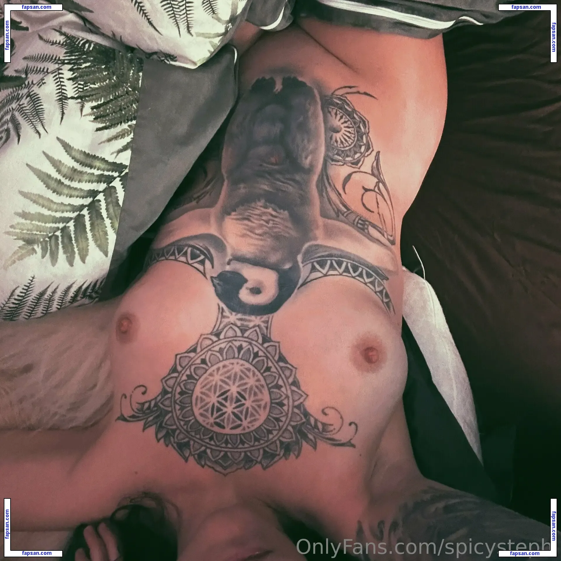 Stephilee nude photo #0136 from OnlyFans