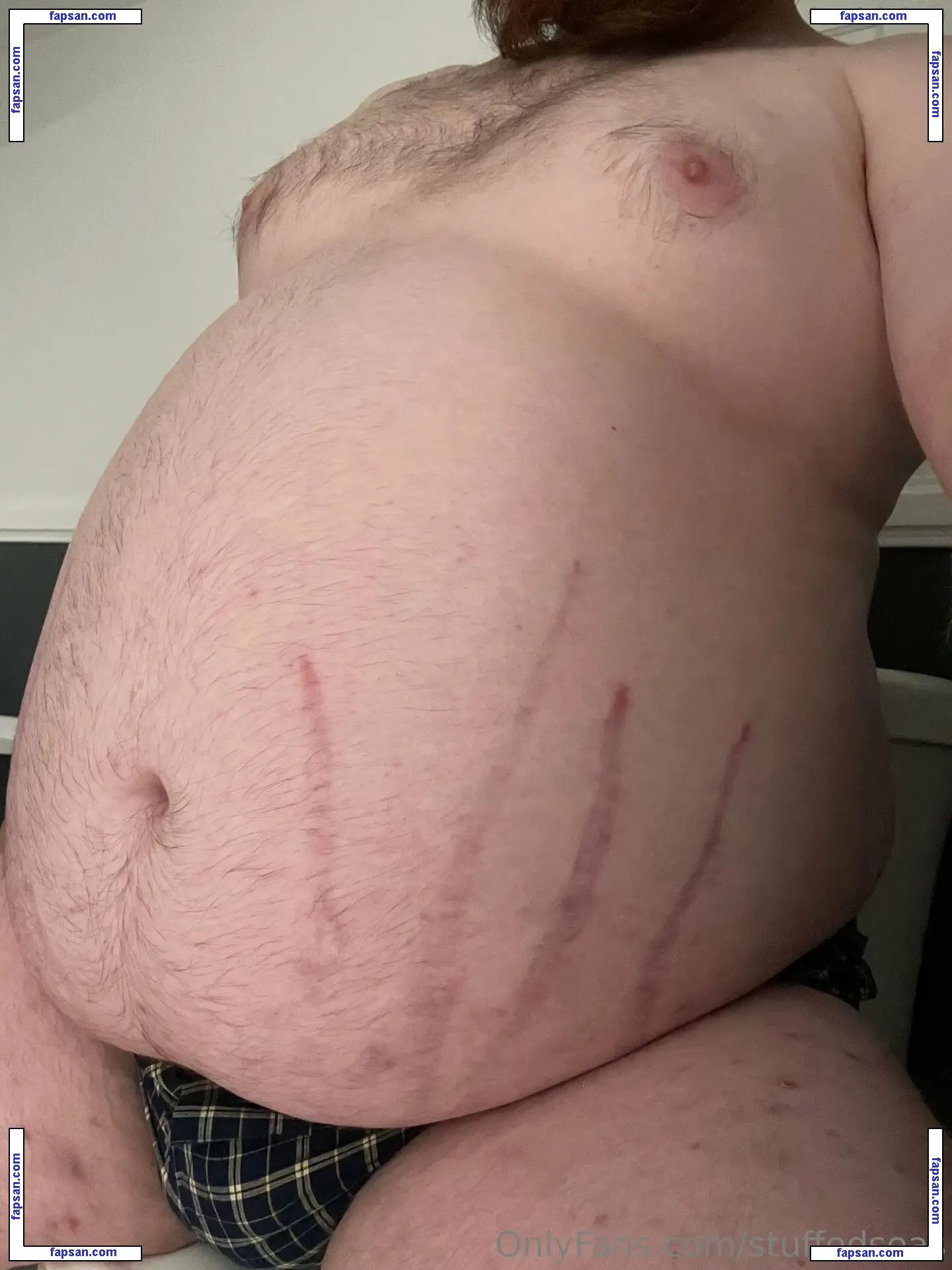 stuffedseas голая фото #0016 с Онлифанс