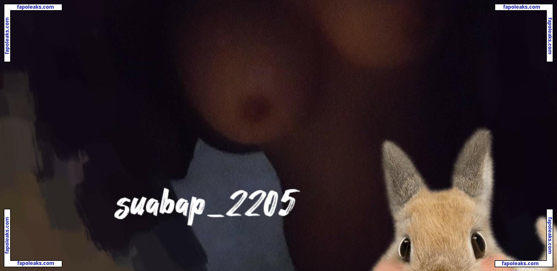 suabap_2205 / co7chuachong / qunhii.0w2_ nude photo #0003 from OnlyFans