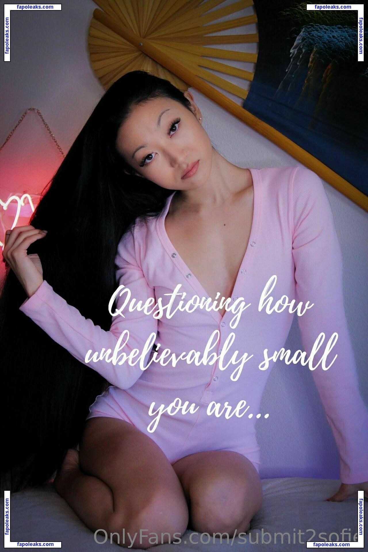 submit2sofie / slayerofliarsandscammers2.0 nude photo #0009 from OnlyFans