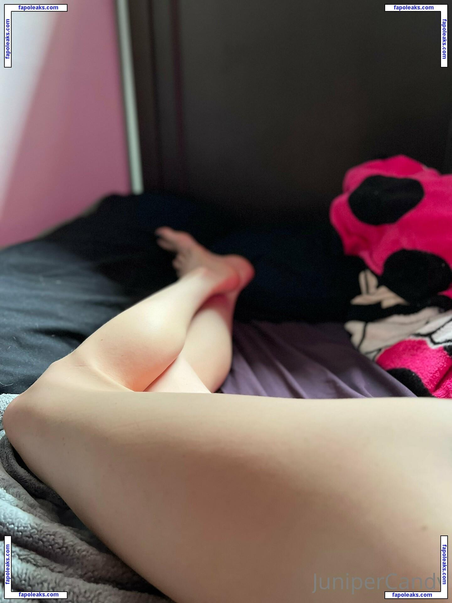 sugartime / sugartimeaus nude photo #0010 from OnlyFans