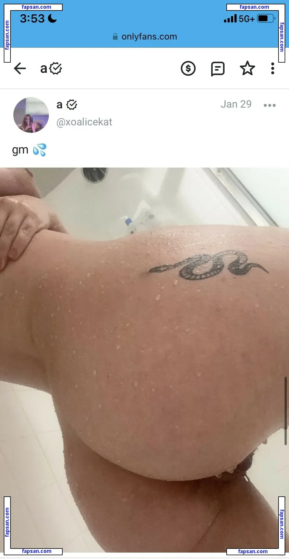 Sukashawty nude photo #0003 from OnlyFans