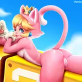 Super Mario Bros nude #0282