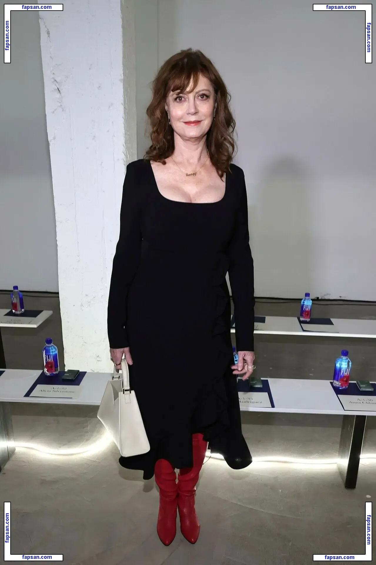 Susan Sarandon nude photo #0222 from OnlyFans