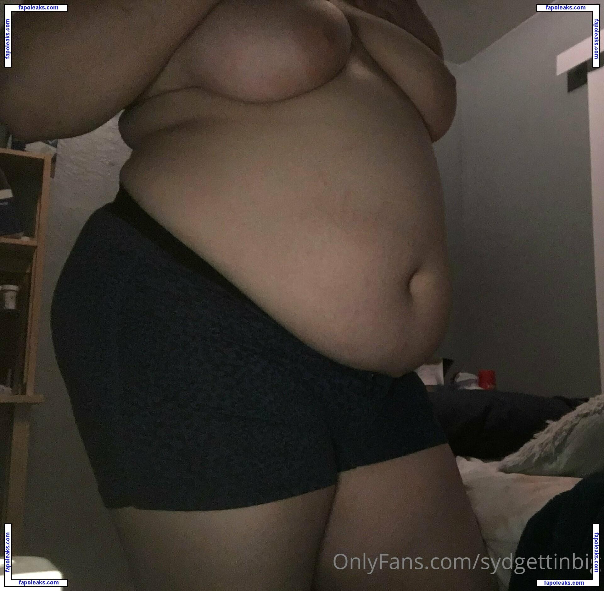 sydgettinbig nude photo #0005 from OnlyFans