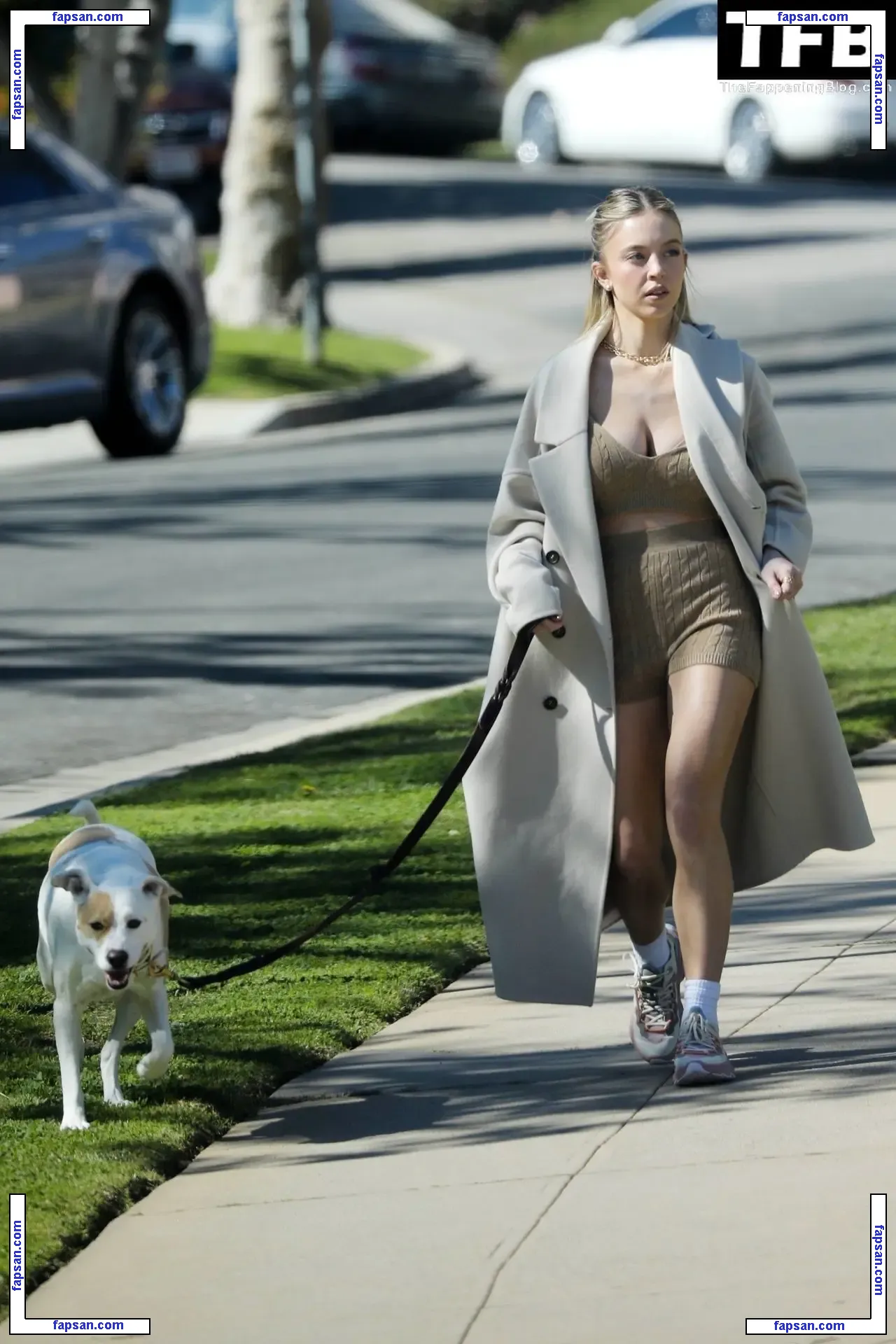 Sydney Sweeney nude photo #1382 from OnlyFans