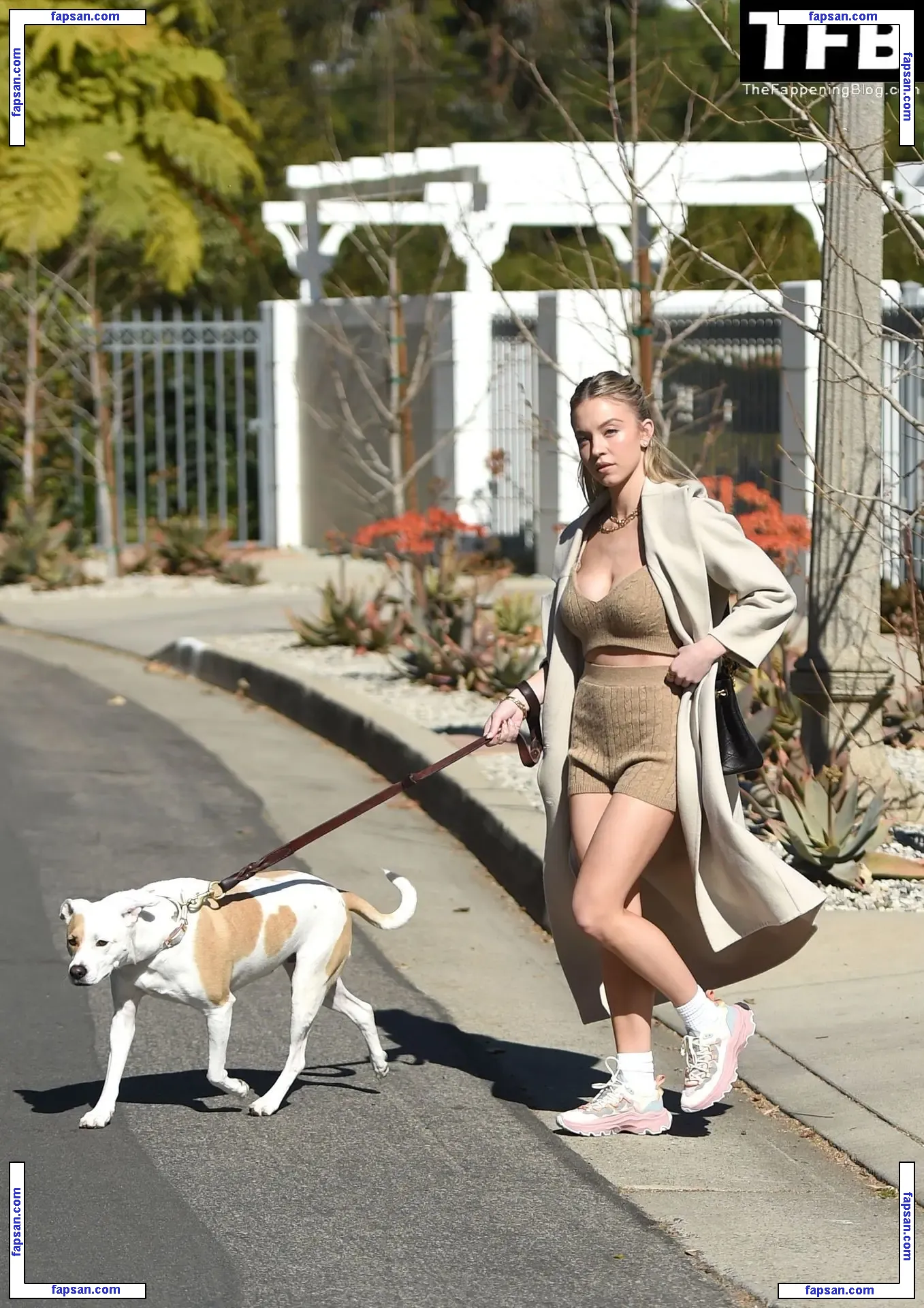 Sydney Sweeney nude photo #1392 from OnlyFans