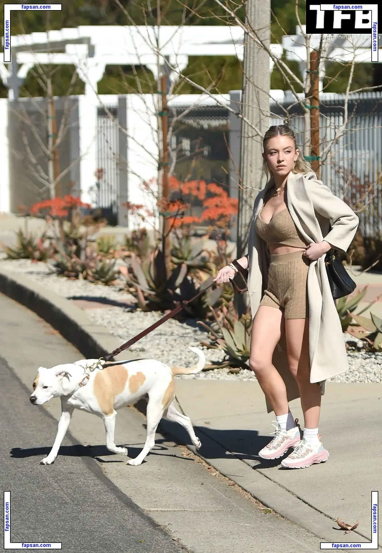 Sydney Sweeney nude photo #1394 from OnlyFans