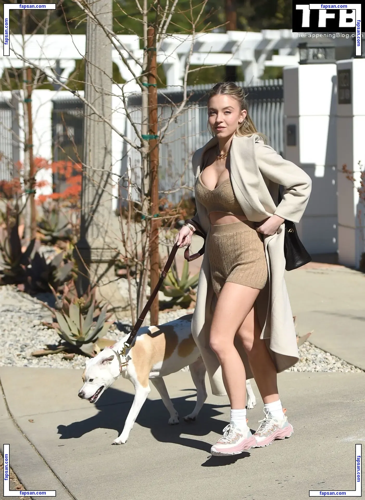 Sydney Sweeney nude photo #1395 from OnlyFans