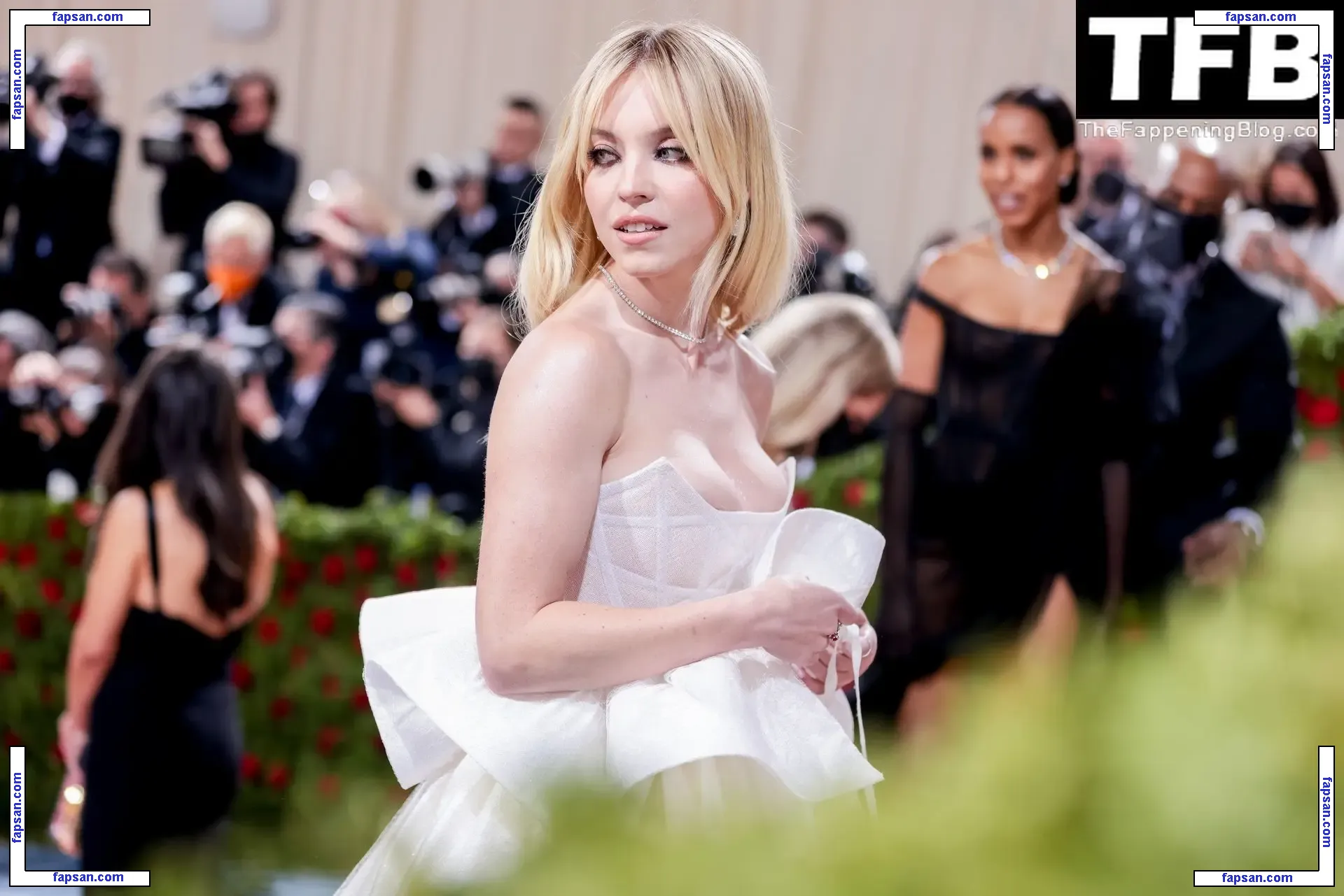 Sydney Sweeney nude photo #1821 from OnlyFans