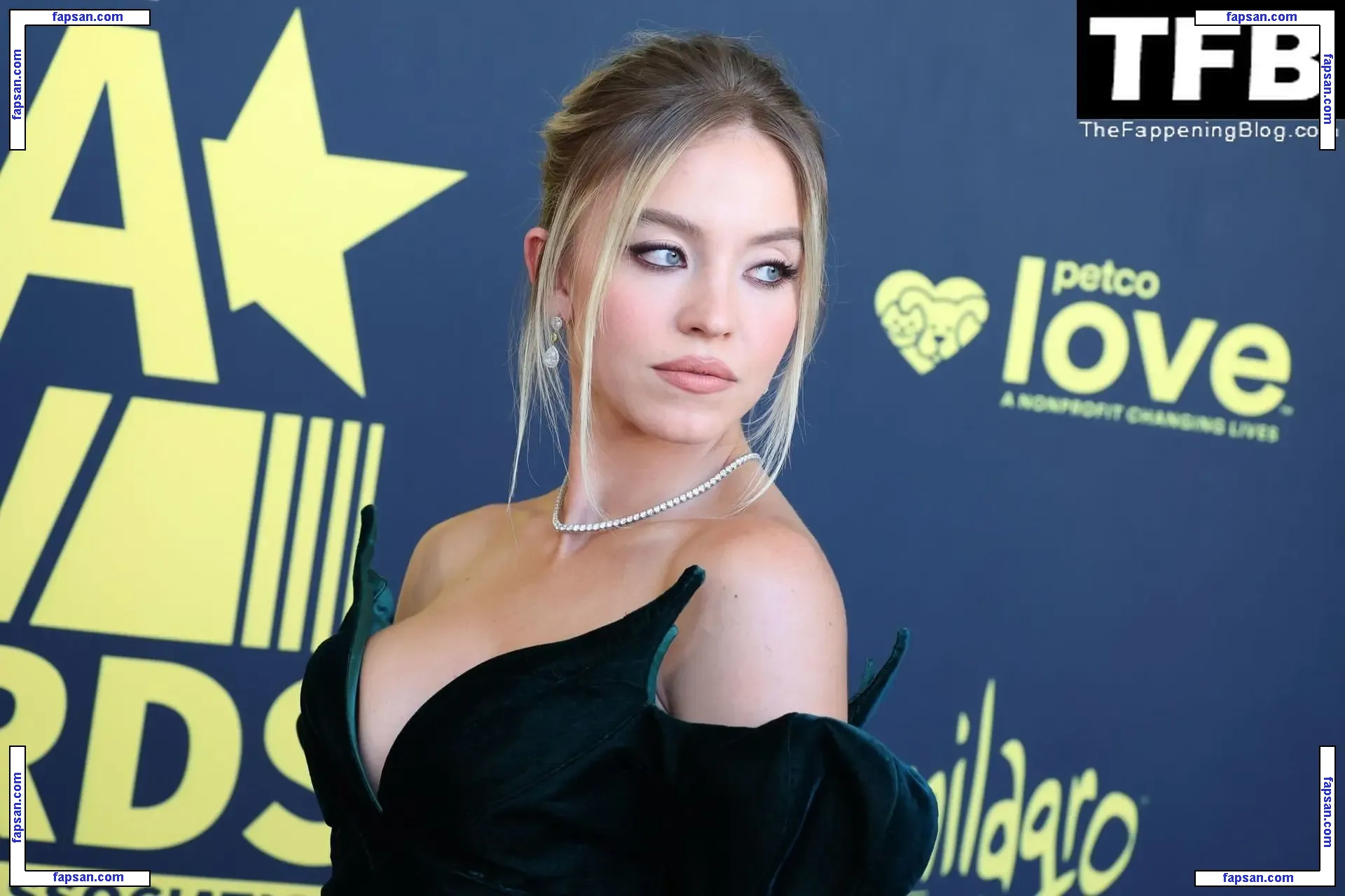 Sydney Sweeney nude photo #2208 from OnlyFans