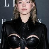 Sydney Sweeney голая #2463