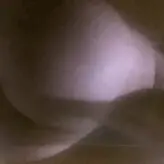 Sydney Sweeney nude #5593