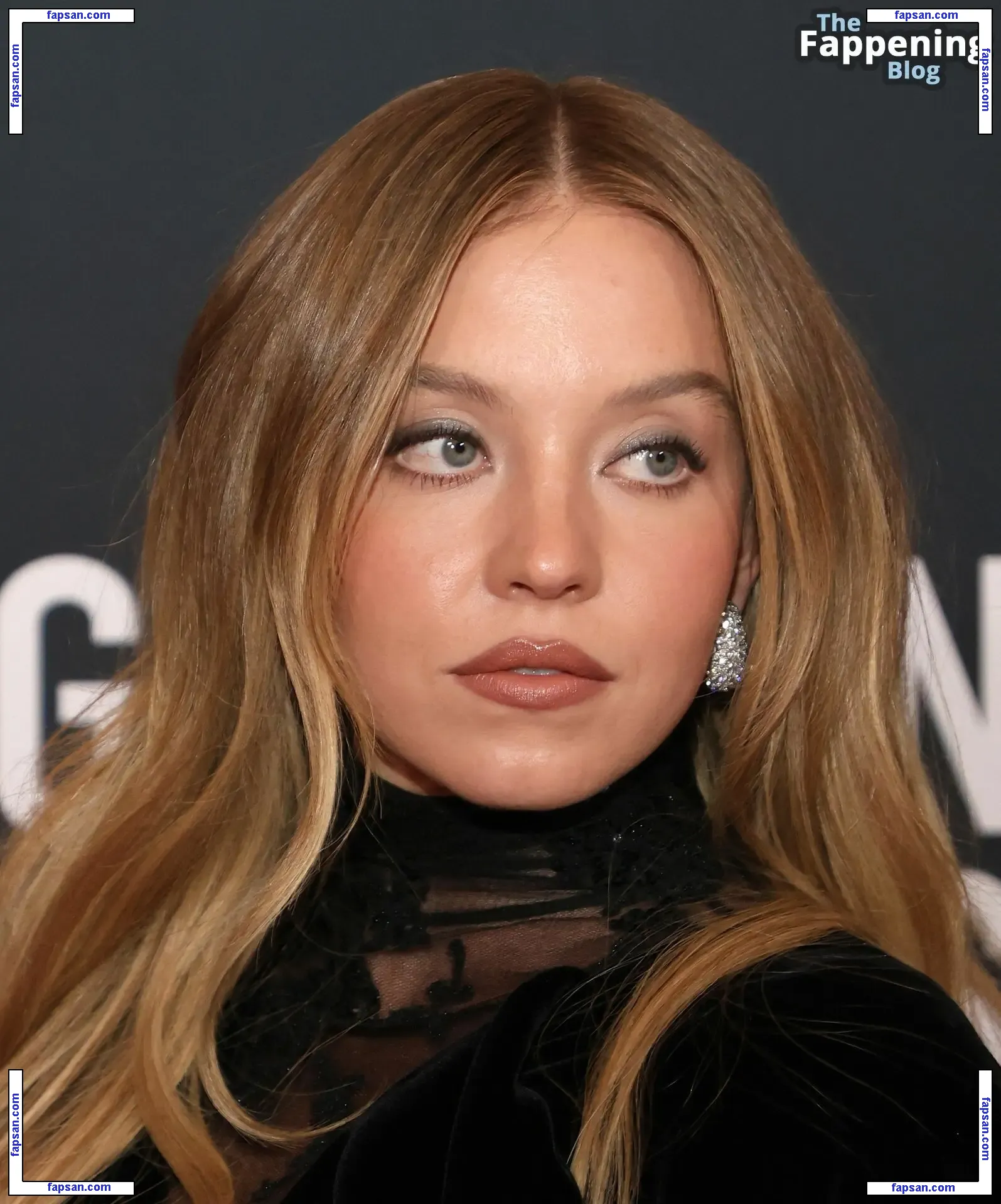 Sydney Sweeney nude photo #7043 from OnlyFans