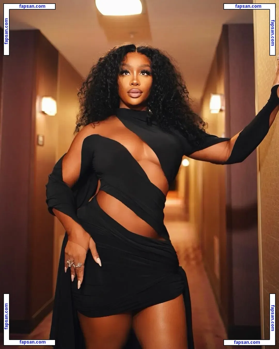 SZA nude photo #0072 from OnlyFans