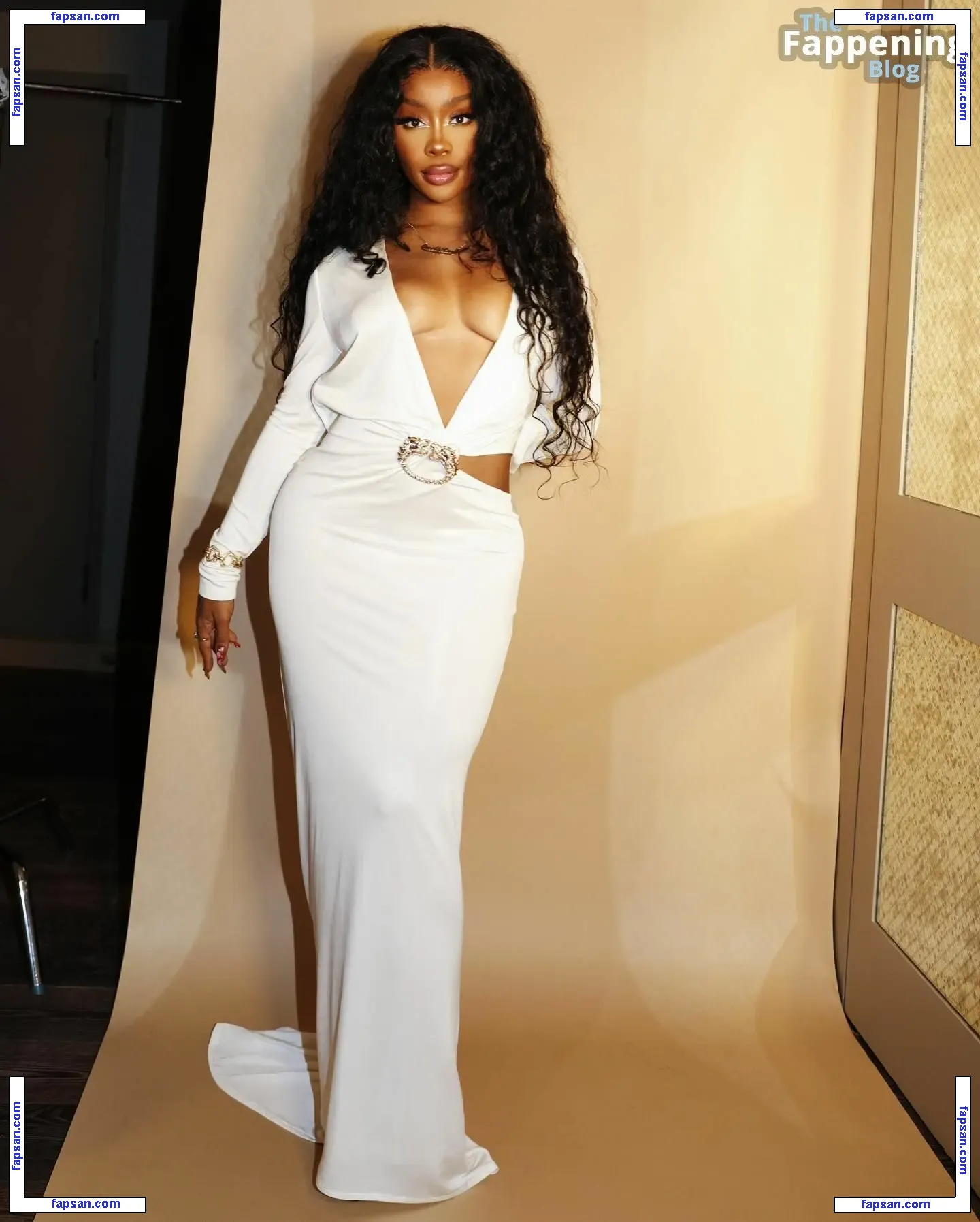 SZA nude photo #0114 from OnlyFans
