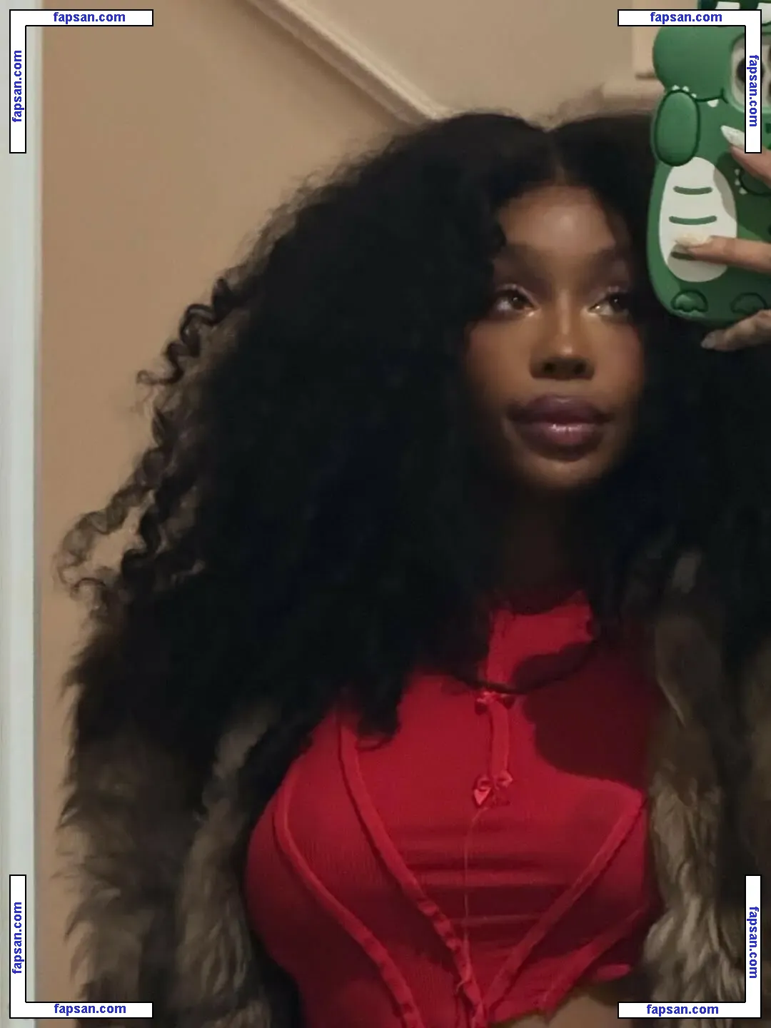 SZA nude photo #0201 from OnlyFans