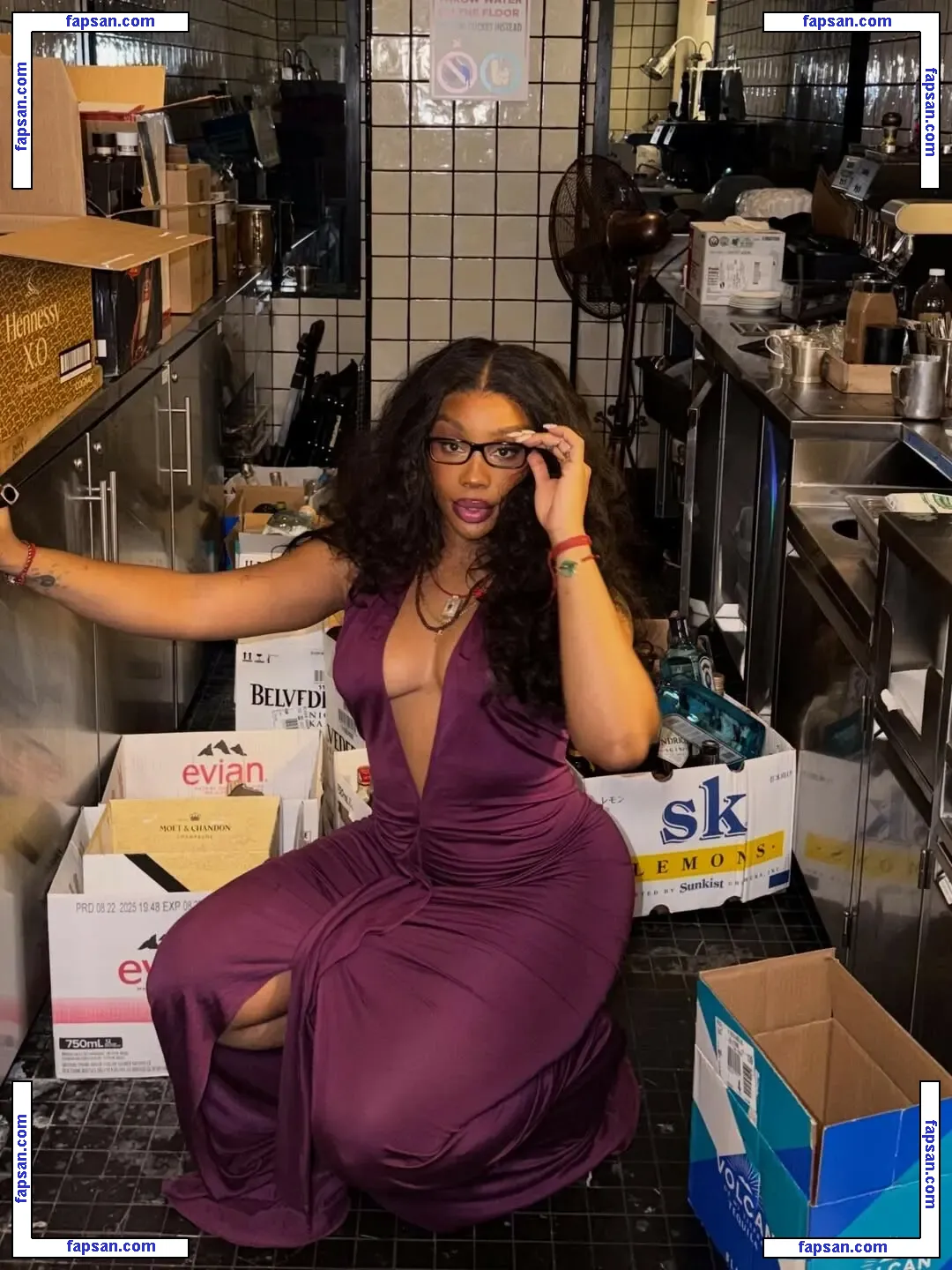 SZA nude photo #0203 from OnlyFans