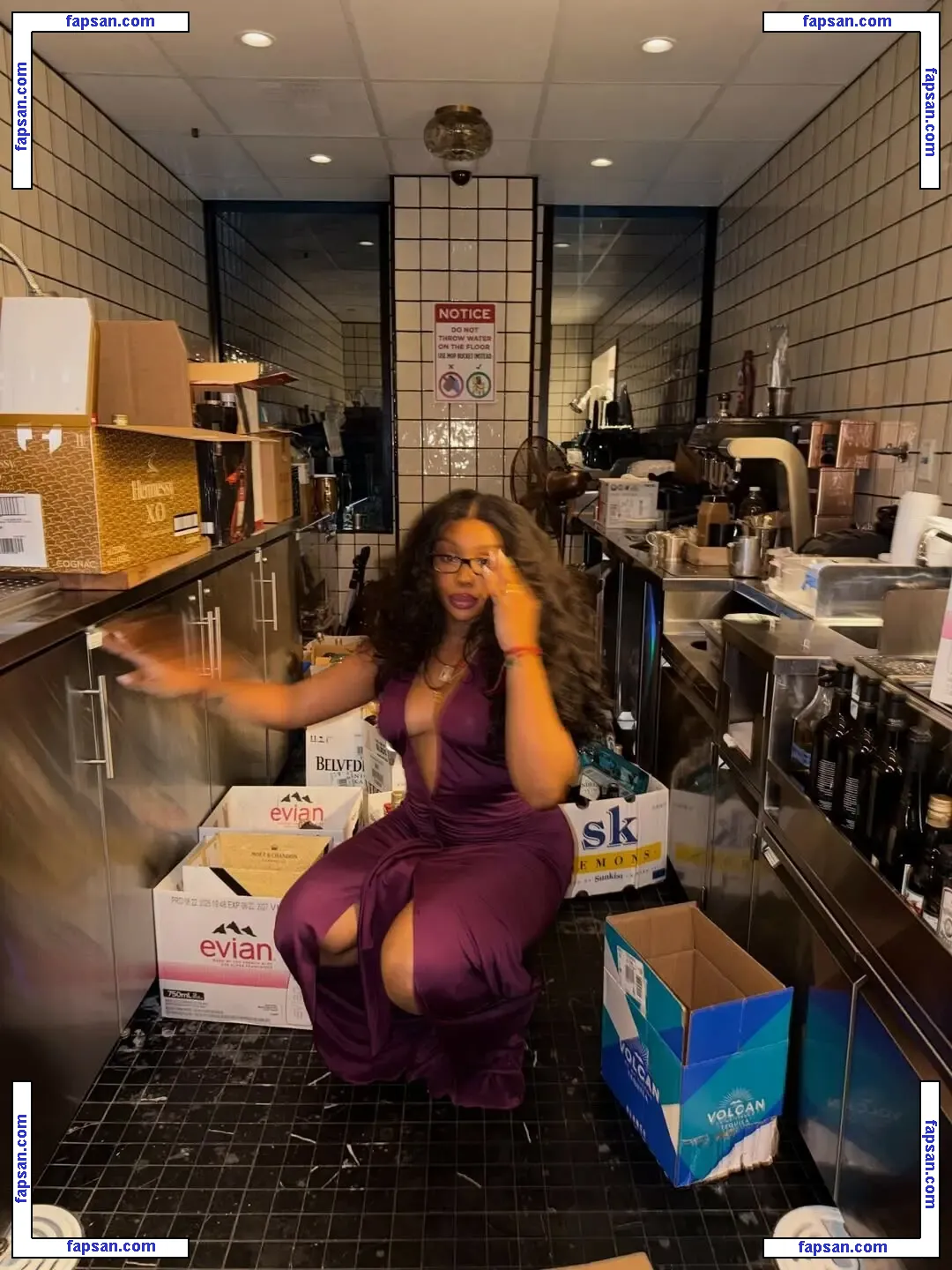 SZA nude photo #0204 from OnlyFans