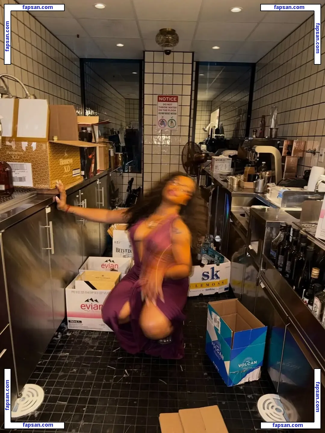 SZA nude photo #0205 from OnlyFans