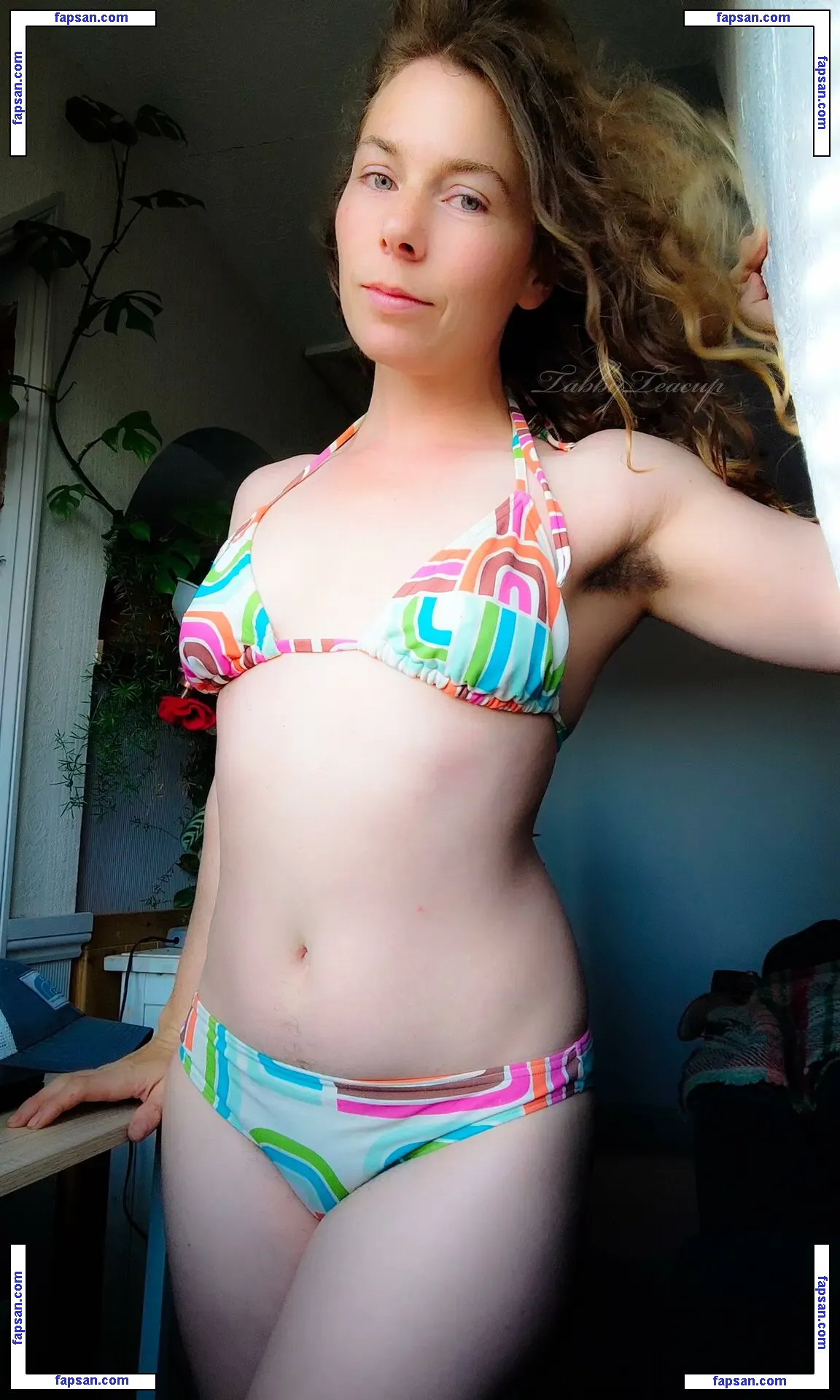 Tabby Teacup nude photo #0003 from OnlyFans