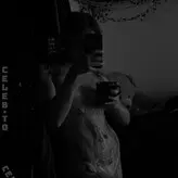 Tamara Mertens nude #0015