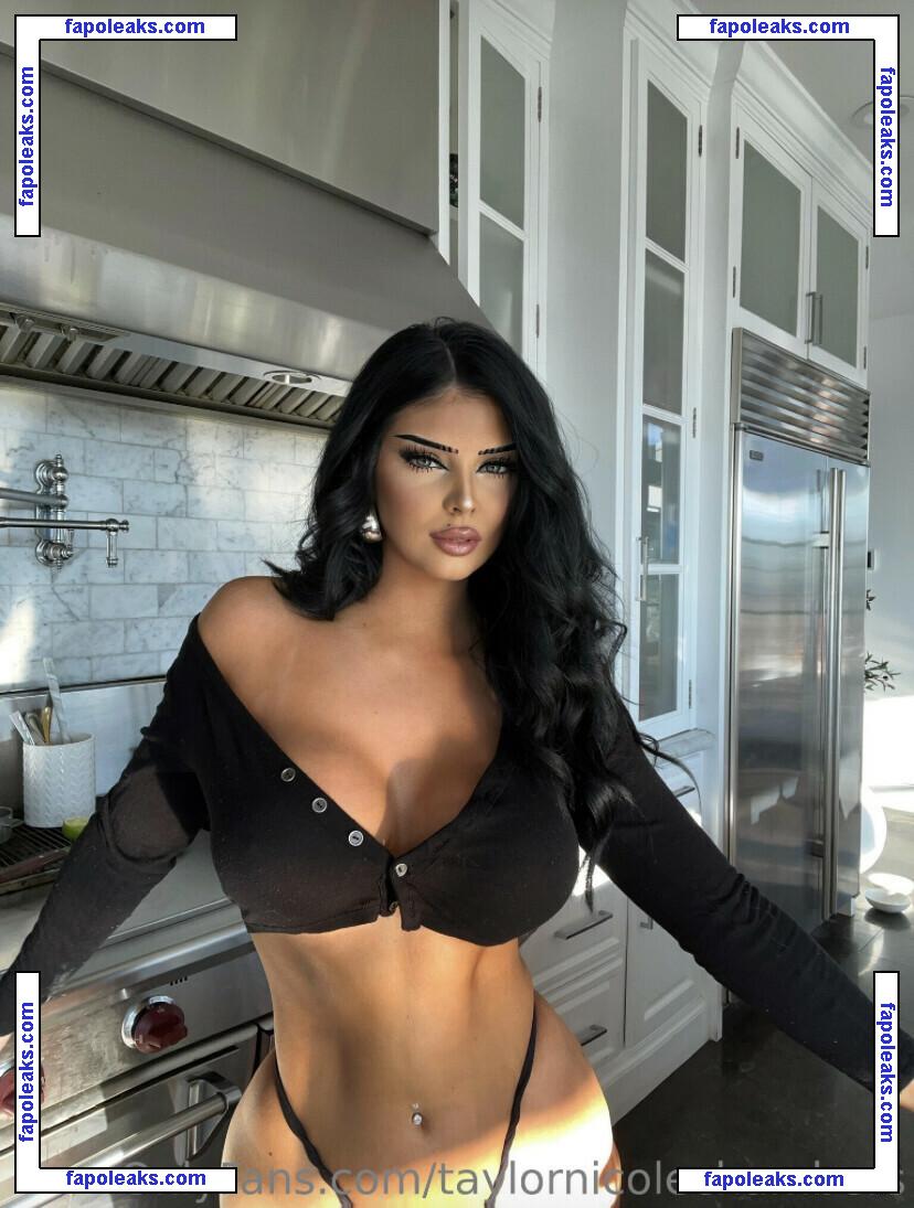 Taylor Nicole Chambers / taylornchambers_ / taylornicolechambers nude photo #0019 from OnlyFans