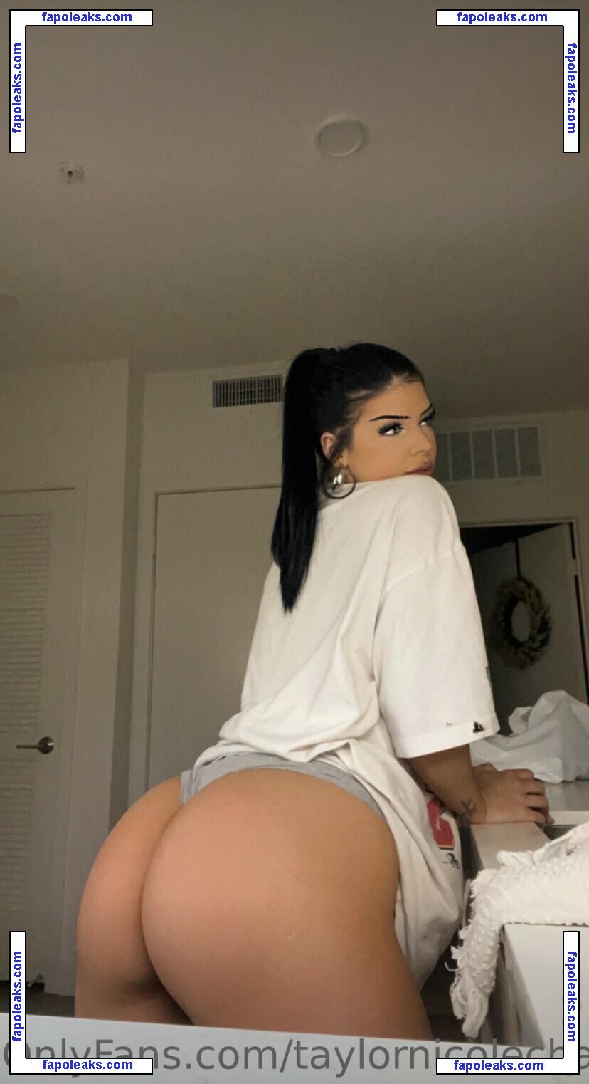 Taylor Nicole Chambers / taylornchambers_ / taylornicolechambers nude photo #0028 from OnlyFans